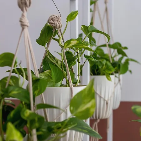 With Balcony - Rejtana 10 Apartamento Cracóvia